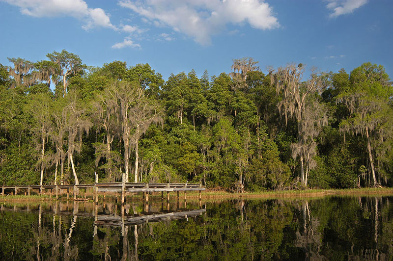 Parks and Open Space
